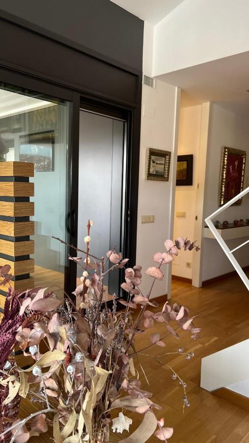 Апартаменты Atico De Diseno Con Terraza En El Centro De Олот Экстерьер фото